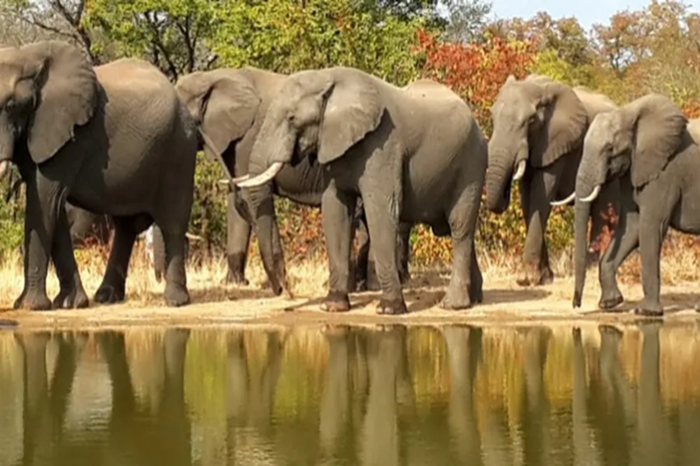 3-Day Maasai Mara Big Five Safari Adventure3