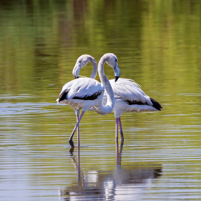 5-Day Family Safari in Arusha & Manyara1