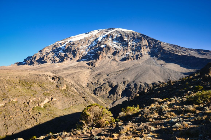 7-Day Lemosho Trek to Kilimanjaro Summit2