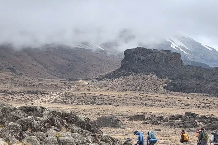 7-Day Lemosho Trek to Kilimanjaro Summit3