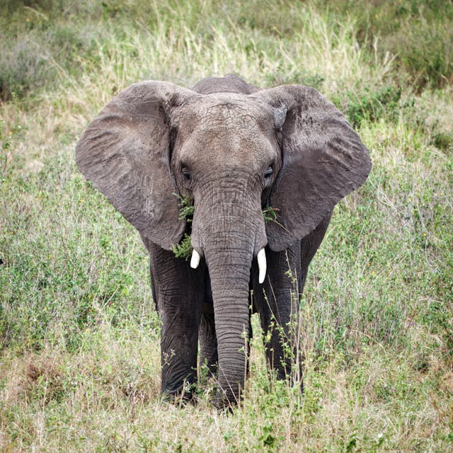 Akagera Safari Adventure1