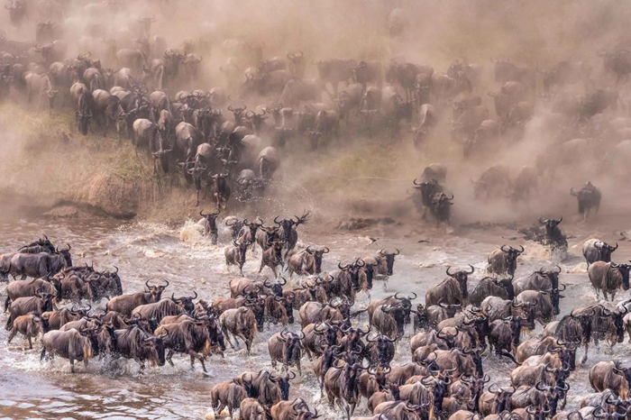 Great Migration Safari in Tanzania3