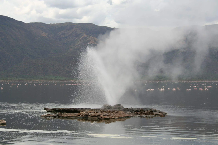 Lake Bogoria