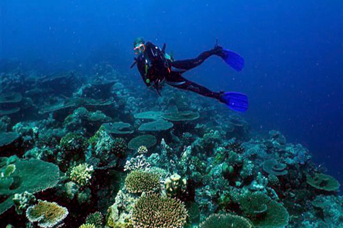 Matemwe Diving2