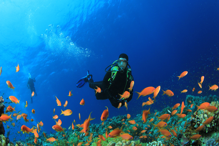 Matemwe Diving3