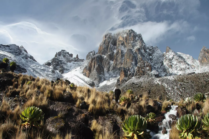 Mount Kenya National Park