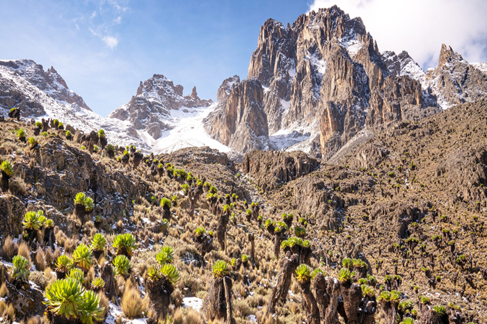 Mount Kenya Trek Meru Wildlife Safari