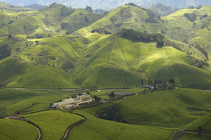 Scenic Landscapes