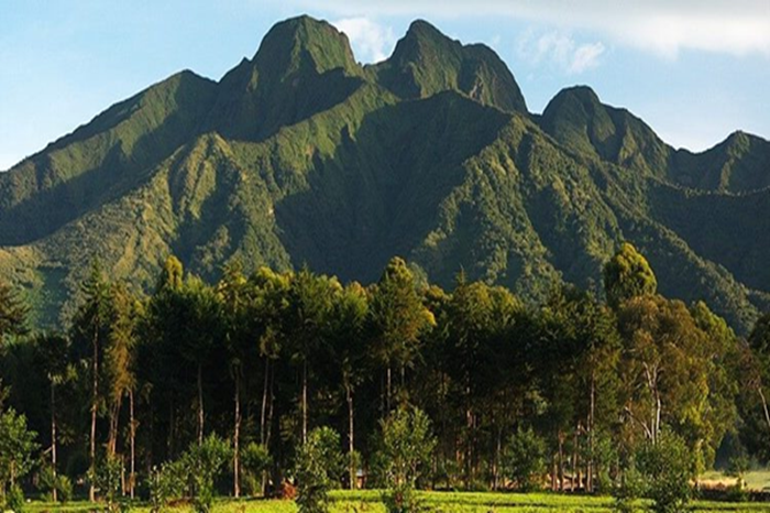 Scenic Trails
