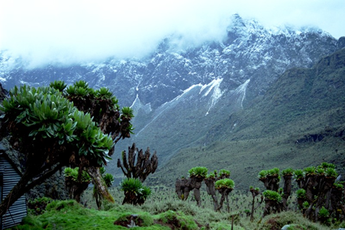 rwenzori-trekking-expedition-6-days1